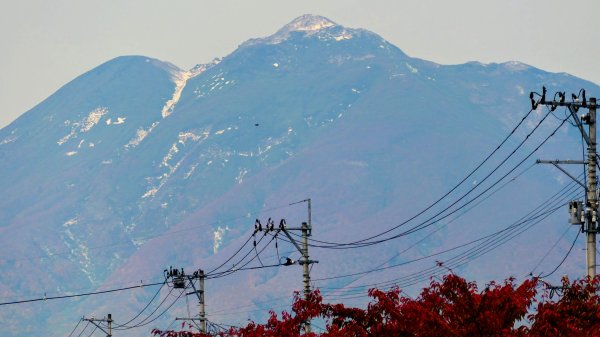 青森縣津輕藩睡魔村2929969