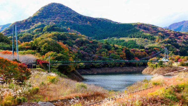 栃木縣紅葉谷大吊橋2930310