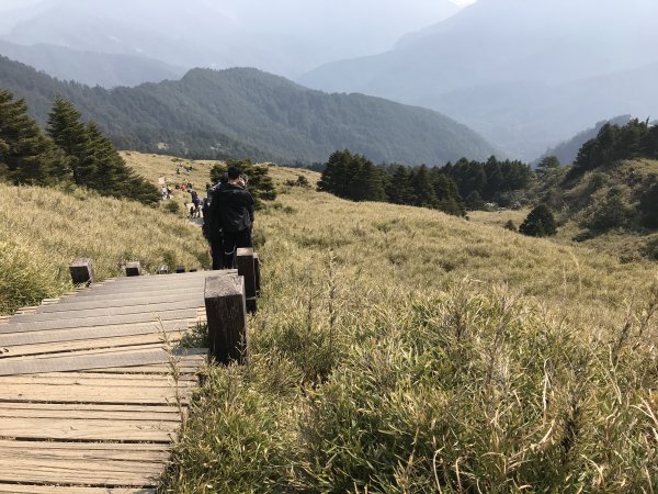 110年4月3日南投 合歡山東峰步道1433075