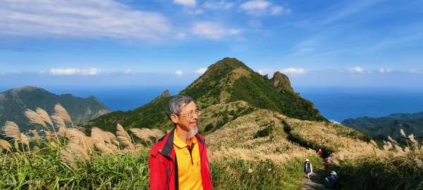 #半屏山 #芒花 11/262946039