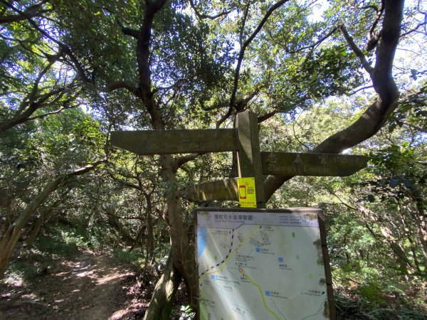 2025微笑山線大縱走尋寶集章任務-Ep.02【大棟山系】百年大榕樹2882278