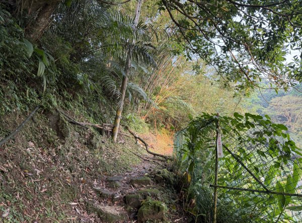 [微笑山線_第八段] 2026_0411 二格山系_西帽子岩3034937