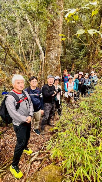 🌈1/18（日）忘憂森林×金柑樹山×溪頭天文台✨FB：熊熊趴爬走🌈2983970
