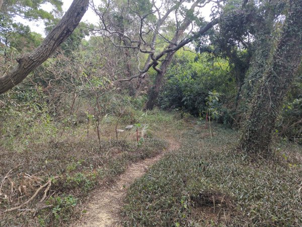 2026.02.08－十八尖山2999392