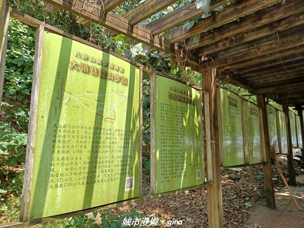 【彰化員林】員林百果山上最具人氣的休閒步道。 台灣百大必訪步道。 藤山步道1689490