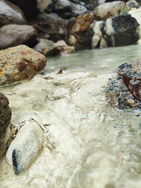 2026年元旦升旗快閃七星順探紫明溪2974005