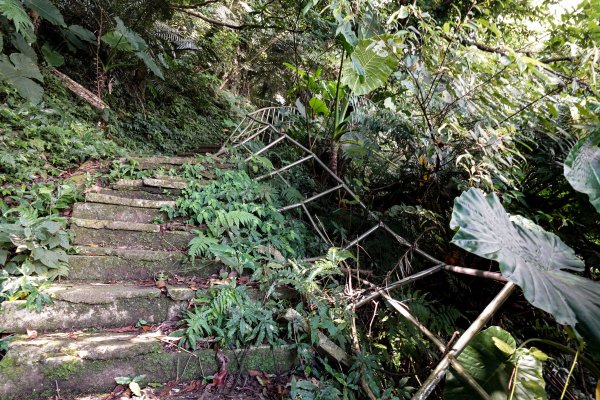 溪洲山小百岳｜福山巖登山步道2898892