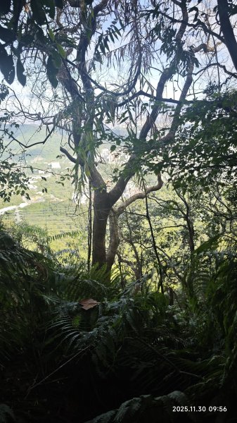 2025-1130 新店三(二)潭縱走2966909