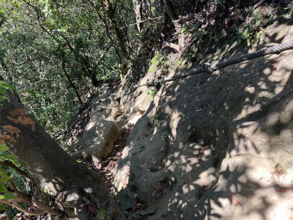 [微笑山線_第九段] 2025_0914 二格山系_皇帝殿東峰2889517