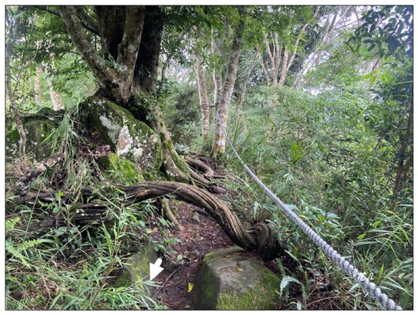 大克山 南稜線A上B下 (卓蘭最高峰)2825469