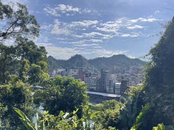 【二格山系】和美山螢火蟲2852563