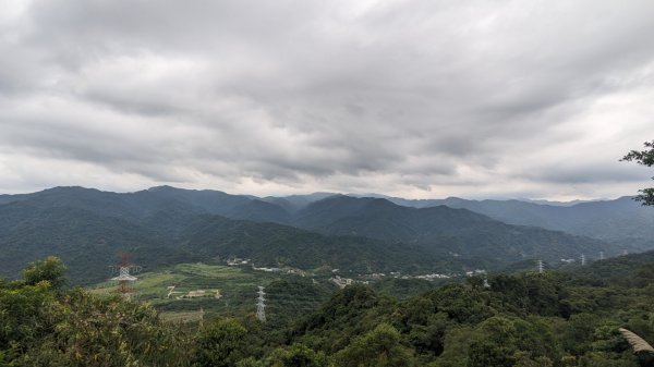 天上山 桐花公園來回2190978