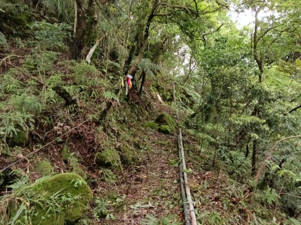 平溪區三功大厝+番子坑山+千階嶺步道O型2781106