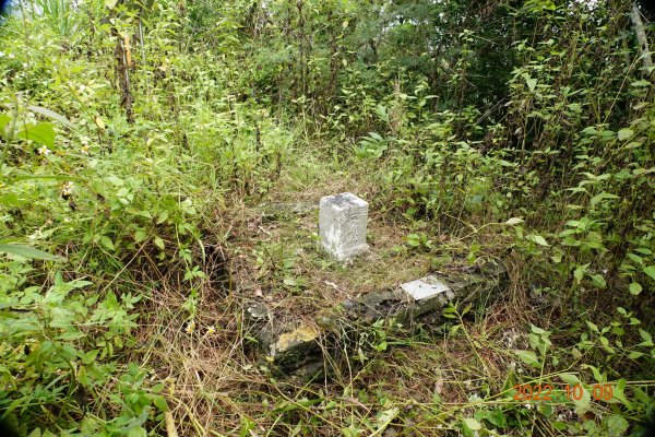 臺南 楠西 爐芝潭山1875994