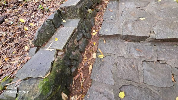 20260302忠義山.小坪頂山.貴子坑山大O走3009804