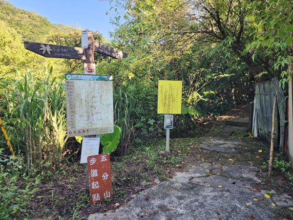 小百岳No.10⛰五分山2883137