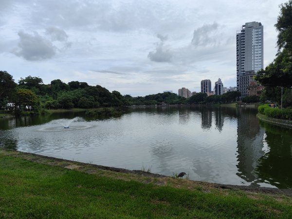 大稻埕、大港墘公園、瑞陽公園、碧湖公園步道【臺北健走趣】2874229