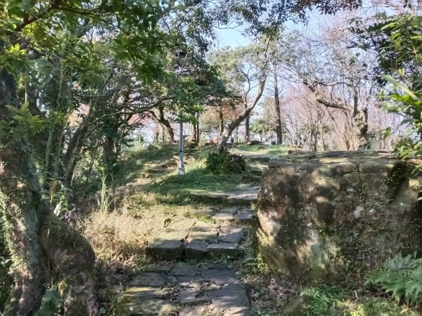 汐止區茄苳越嶺古道+上鹿窟崙山+九層坪山+四分尾山+大尖山8字走2981647