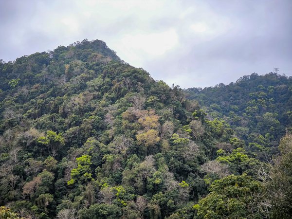 2025-03-08 汶水三山：金童山、汶水山、玉女山 連走2736571