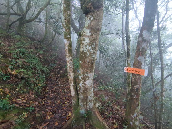 2025.07.05－高島縱走2828192