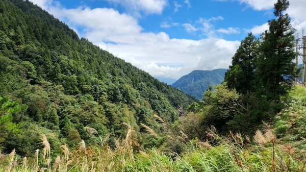 太平山森林遊樂區，檜木原始林步道，九寮溪自然步道，戈霸瀑布，開眼崙登山步道1859567