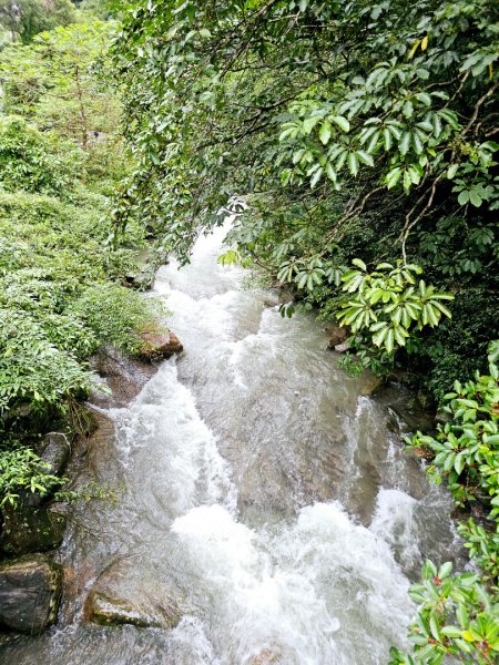 草嶺古道 - 2024草嶺古道芒花季2650863