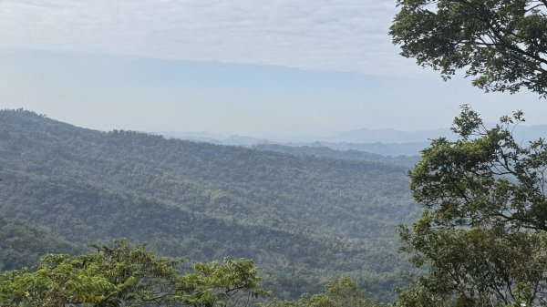 20260127小百岳三腳南山2990267