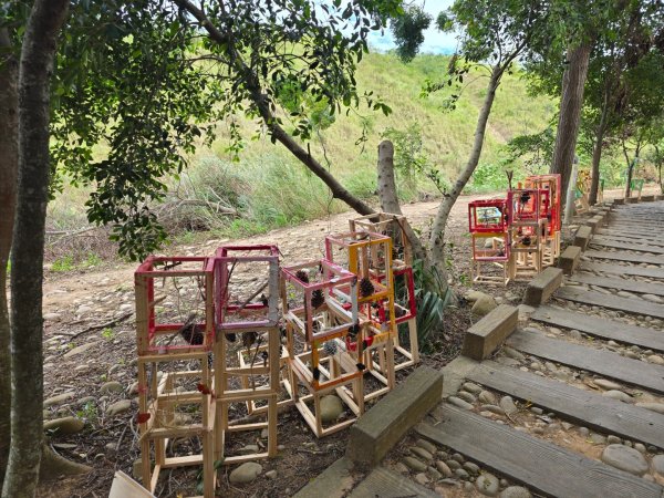 龍井-竹坑-南寮登山古道2651037