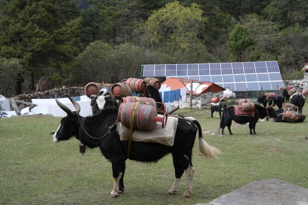 【尼泊爾.3P.EBC.2025-05.solo】【Kongma La Pass(5535m)】2804011