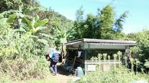 雙溪區竹子山-南勢坑山去回3077208