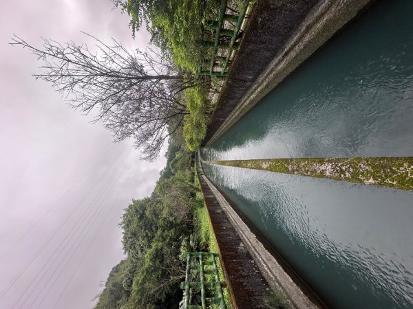 桃園石門-挑擔古道2630289