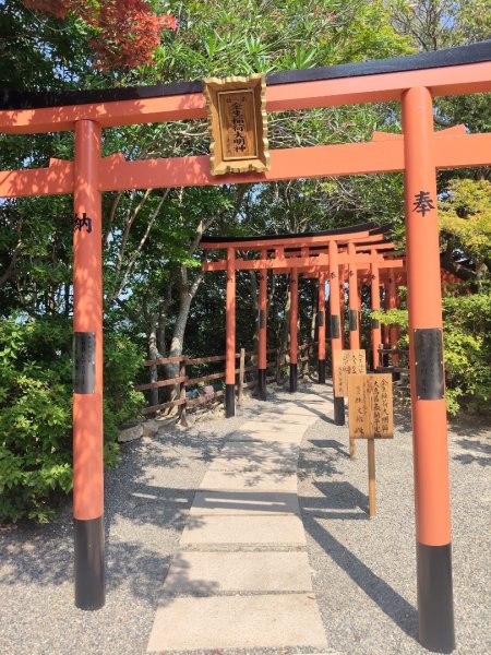 近幾八幡(八幡神宮ˊ八幡山)3089870