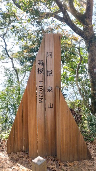 2025.03.01 JRJ程淨山林8-獨拔巃嵿爬山淨山2734538