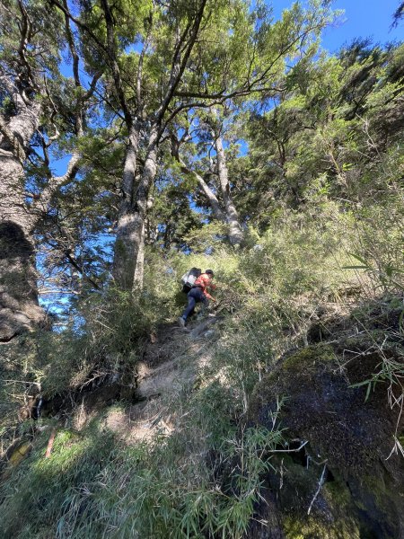 干卓萬橫斷 2024 11/29 四天三夜2865569