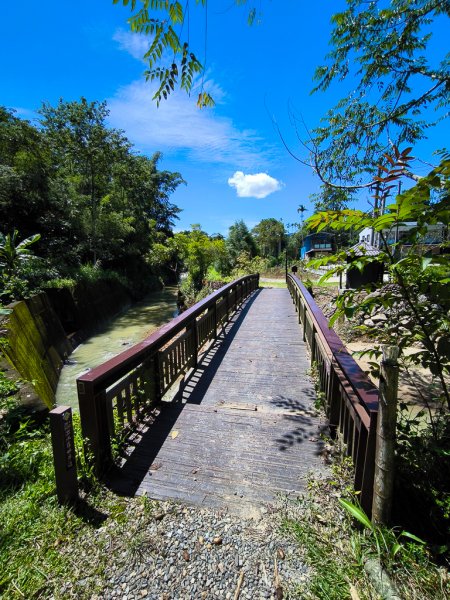 2024-08-22 澀水森林步道2578476