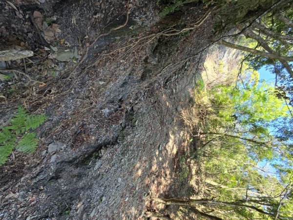 卓社大山〔武界栗栖溪登山口起登〕2748381