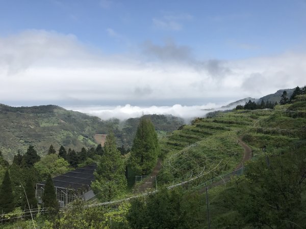 麥巴來山O型之霧895680