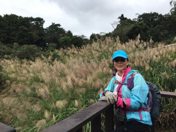 北縱七段抓了10隻博蒂742207