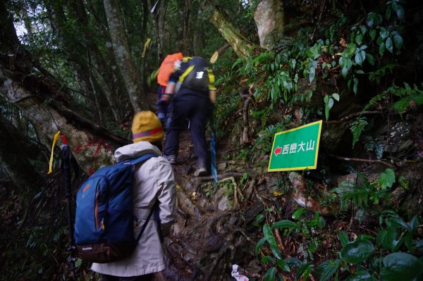 百岳單攻 | 霧淞西巒1234127