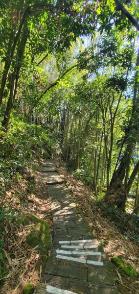 2025-01-30迷糊步道2704439