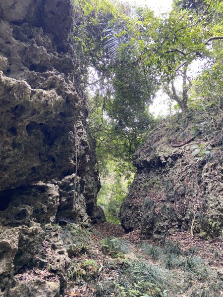 柴山，一年四季3085738