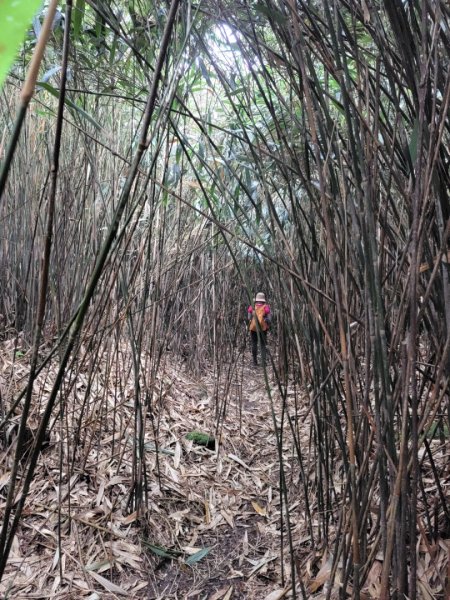 探索凱達格蘭遺址-202404142600572