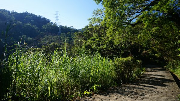 打鐵寮 草嶺山 石龜坑山 白石山連走1265205