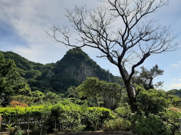 觀音山尋寶之林梢 楓櫃斗湖 福隆山 尖山1031498