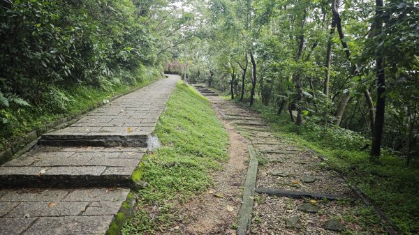 2025-0512內湖到中社2784803