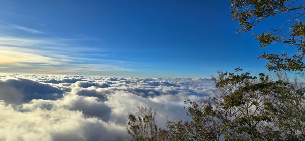 北大武雲海2948922