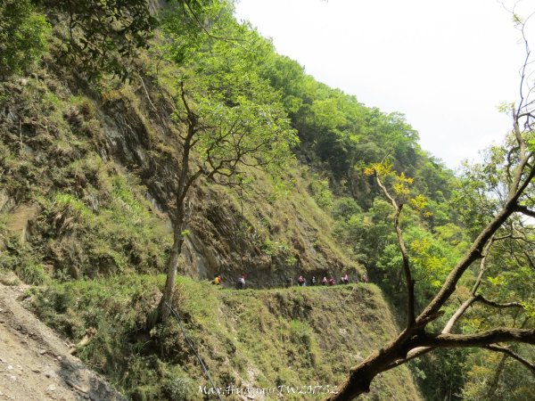 《南投》峽谷瀑布｜東埔八通關古道-雲龍瀑布201704162887736