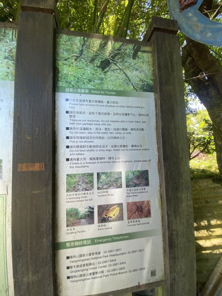 內雙溪的消暑密碼｜走一趟坪頂古圳就懂2861864