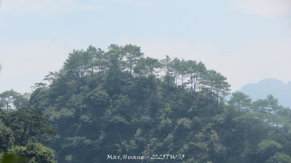 《南投》峰峰相連｜草屯九九峰森林步道O型202509062879292