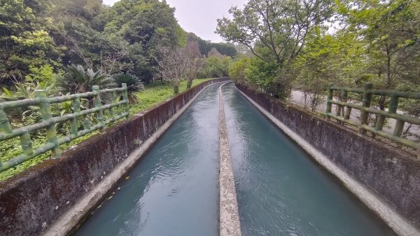 2026樟之細路 | 第一大段 | 三坑~關西 | RSA01~113041139